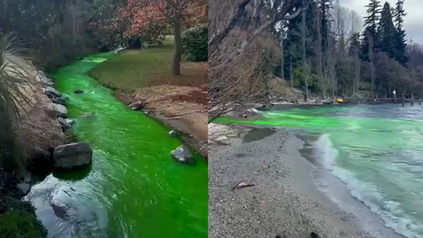 'Lake Wakatipu is turning neon green', tourists shock at liquid pouring ...