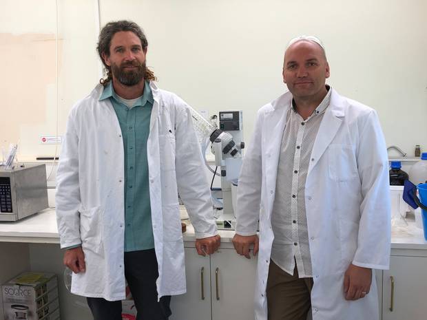 Panapa Ehau and Manu Caddie (L to R), the joint managing directors at Hikurangi Cannbis. Photo/Supplied