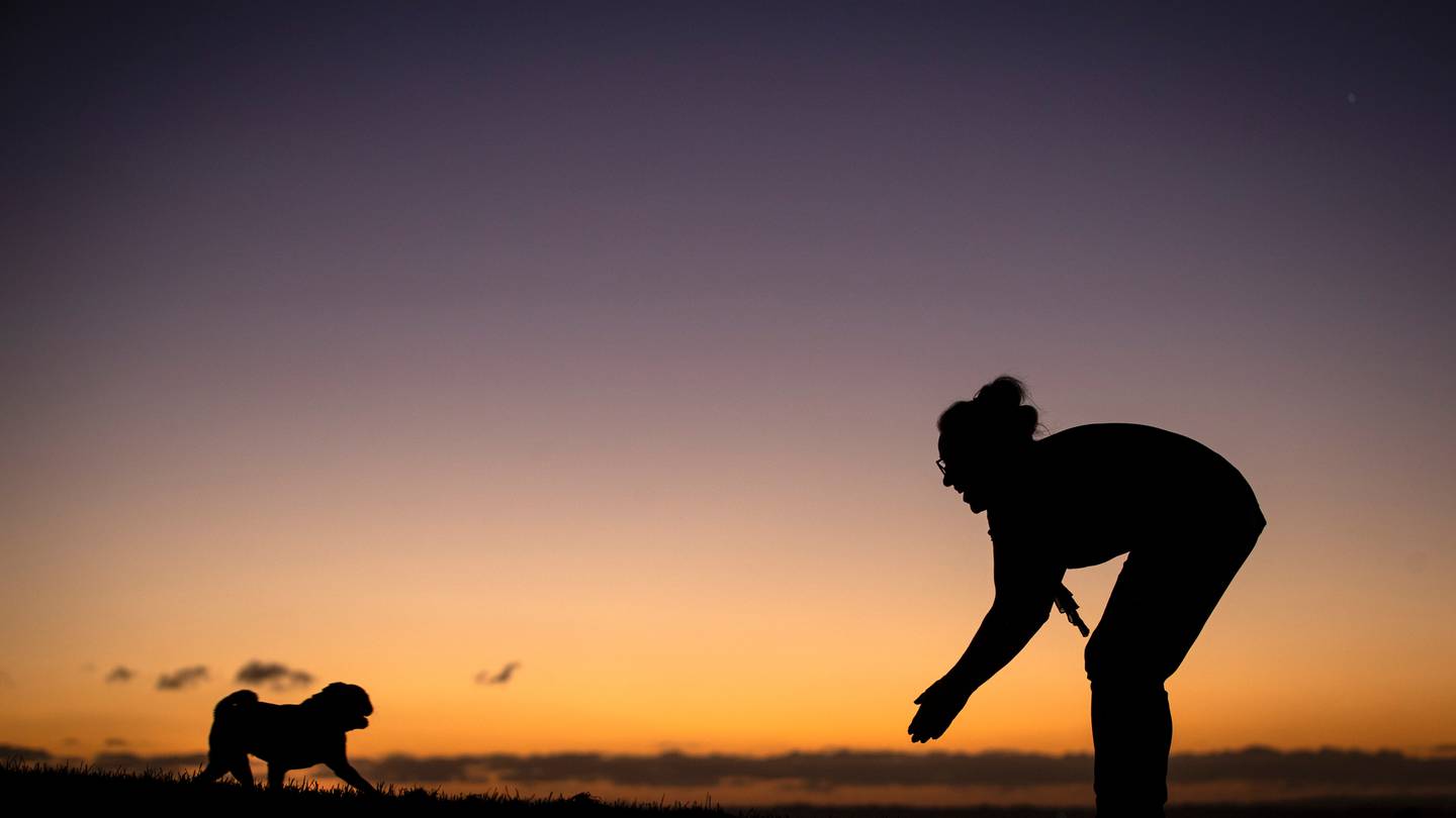 Rachel Ashton plays with her pug Frankie on the summit of Auckland's Mt Roskill as the sun sets on a crisp winter evening last Wednesday. June could set a new temperature record. Photo / Jason Oxenham