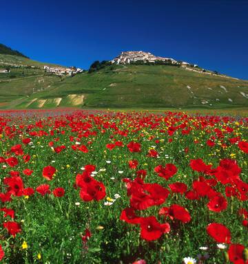 Italy The Stuff Of Dreams Nz Herald