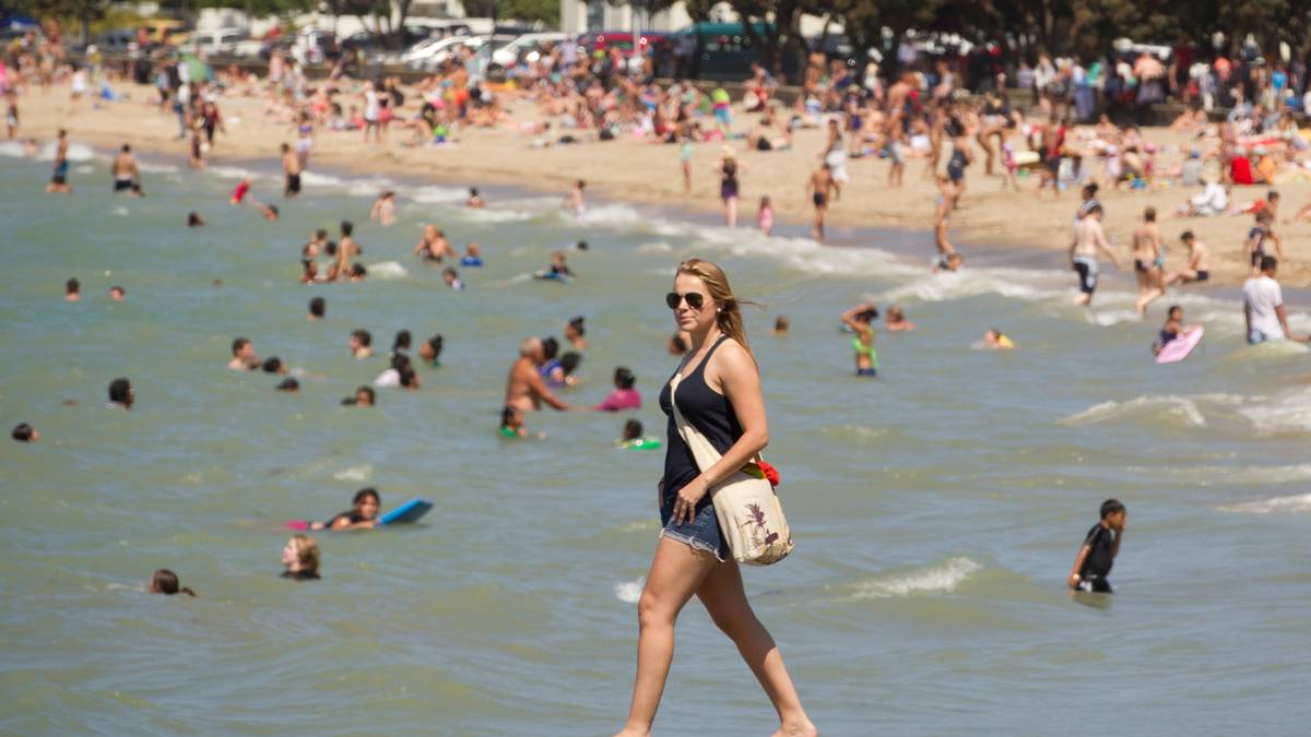 La playa Browns Bay de Auckland, descrita como la más concurrida en Tripadvisor en Australia y Nueva Zelanda