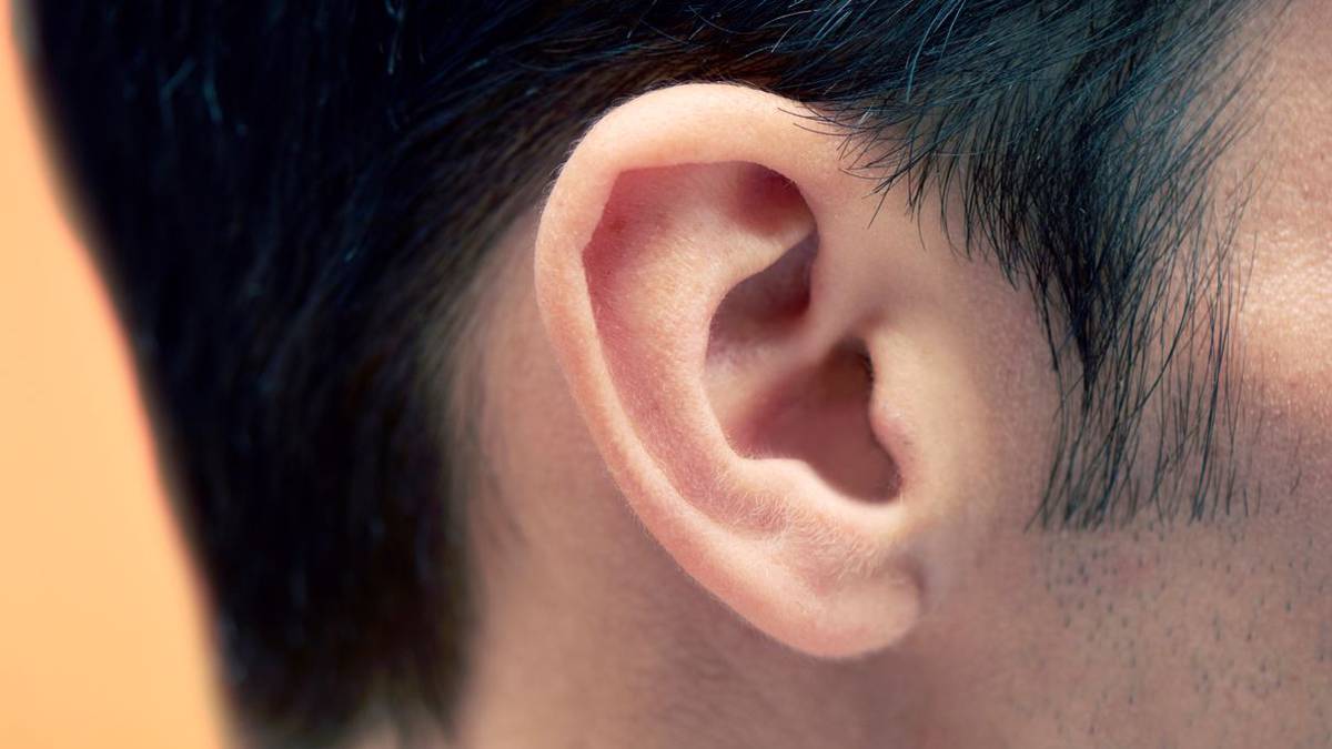 Uszy są równie skuteczne jak DNA w identyfikowaniu ludzi – nowe badanie
