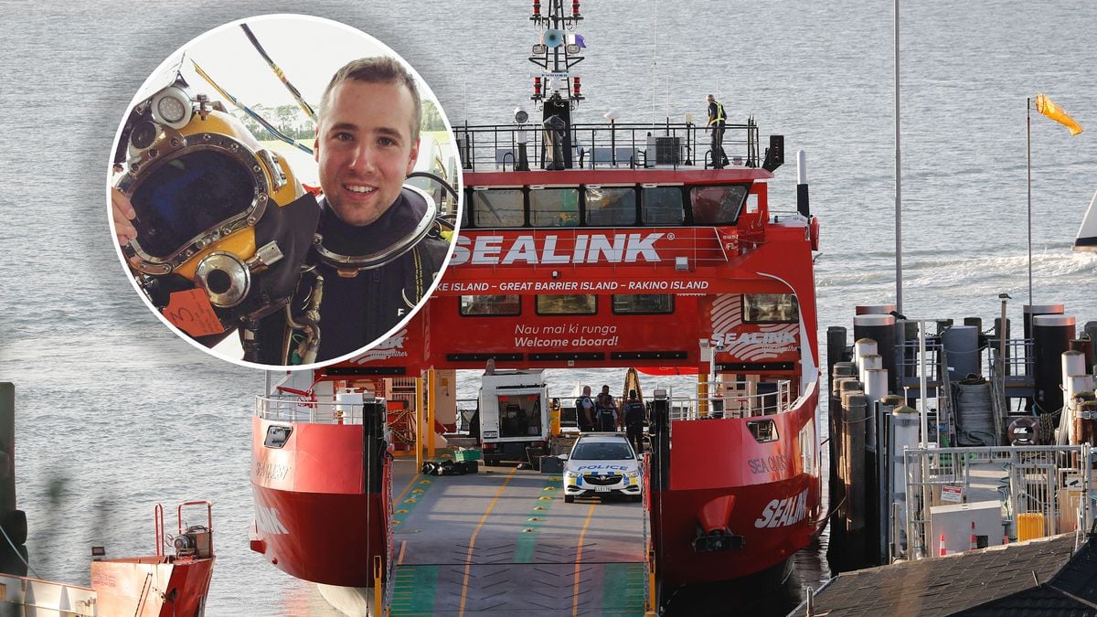 Auckland diver Michal Kováč critically injured after being dragged into SeaLink ferry propeller