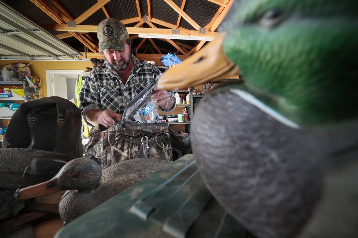 Delayed Duck Shooting Season Better Than None Says Hawke S Bay