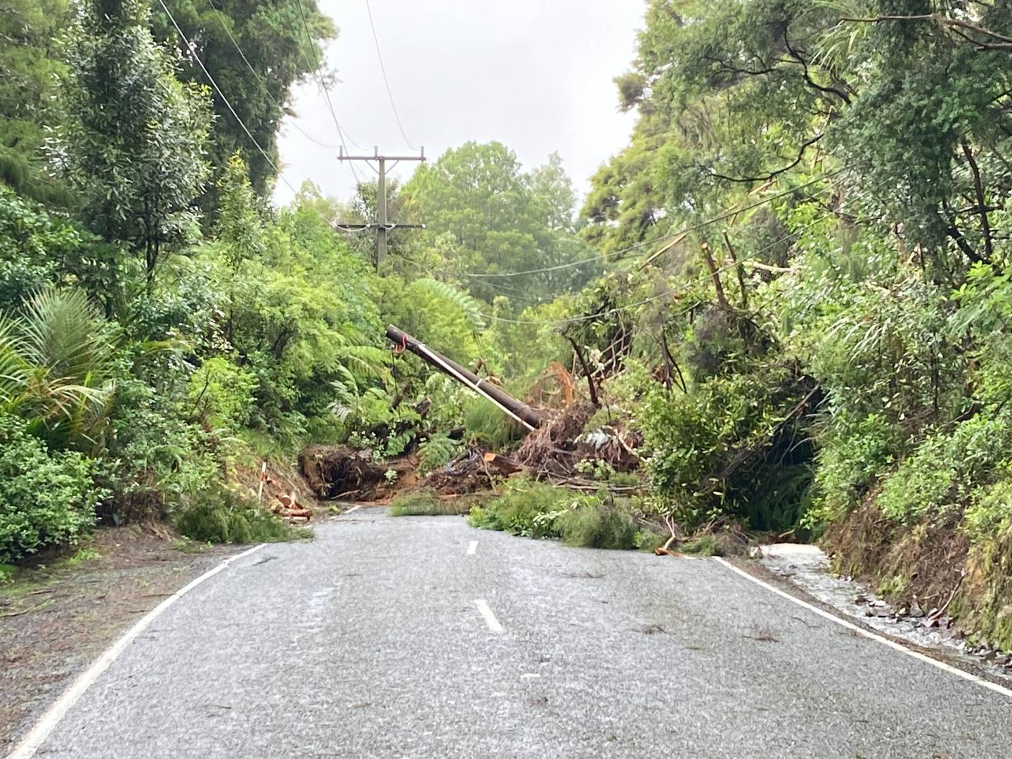 斯旺森附近的 Scenic Drive 上的一次滑倒导致大树和电线杆倒塌。 照片/艾萨克·戴维森