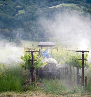 California Bans Controversial Chlorpyrifos Pesticide Spray Nz Herald