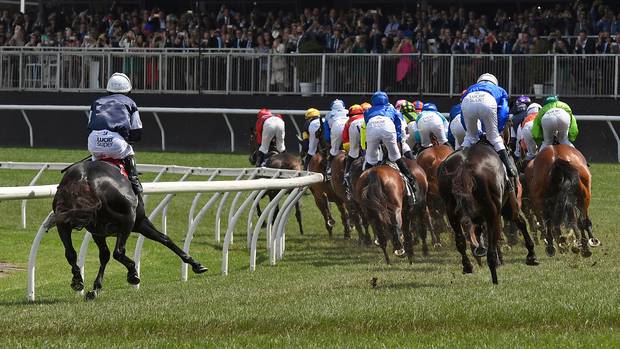 The Cliffsofmoher, left, pulls up lame during the Melbourne Cup at Flemington Racecourse. Photo / AP