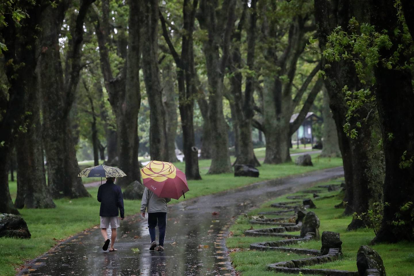 康沃尔公园的潮湿天气步行者。 照片迈克尔/克雷格
