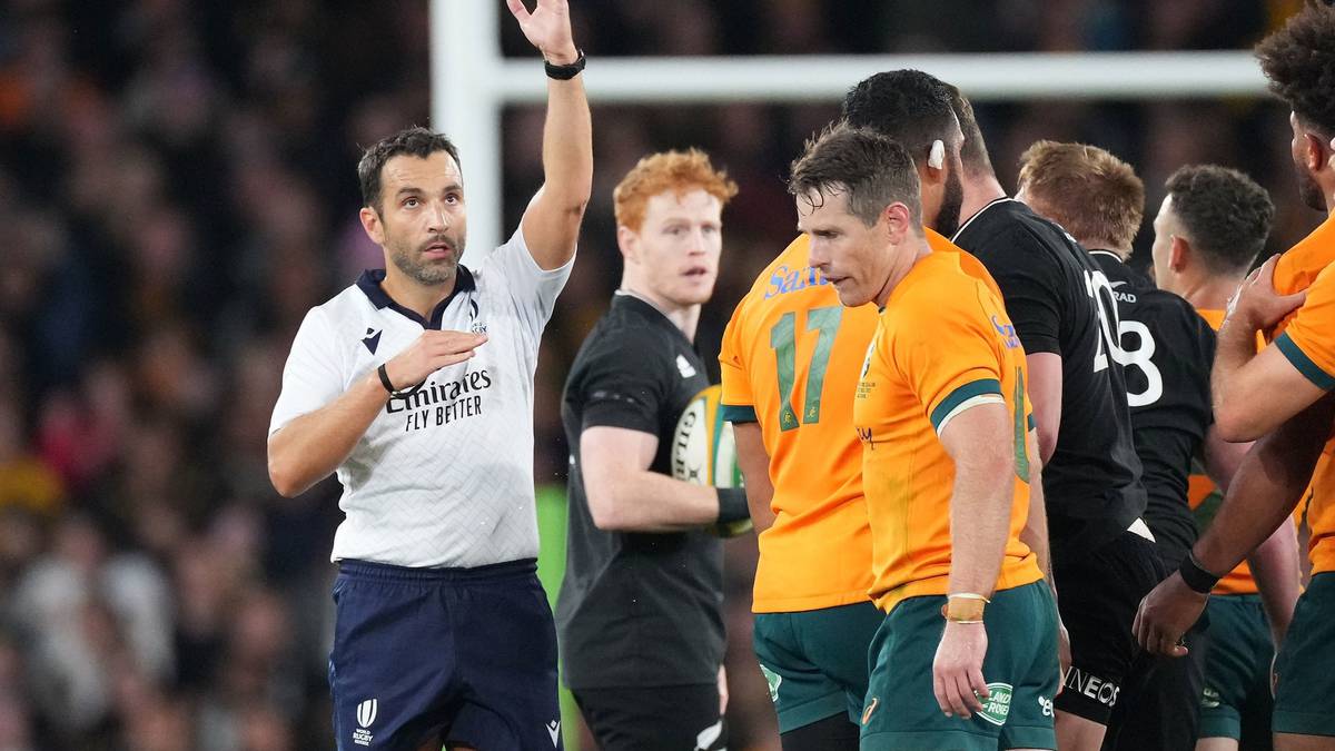 Kris Shannon: Fünf Gründe, warum Rugby-Regeln überarbeitet werden müssen