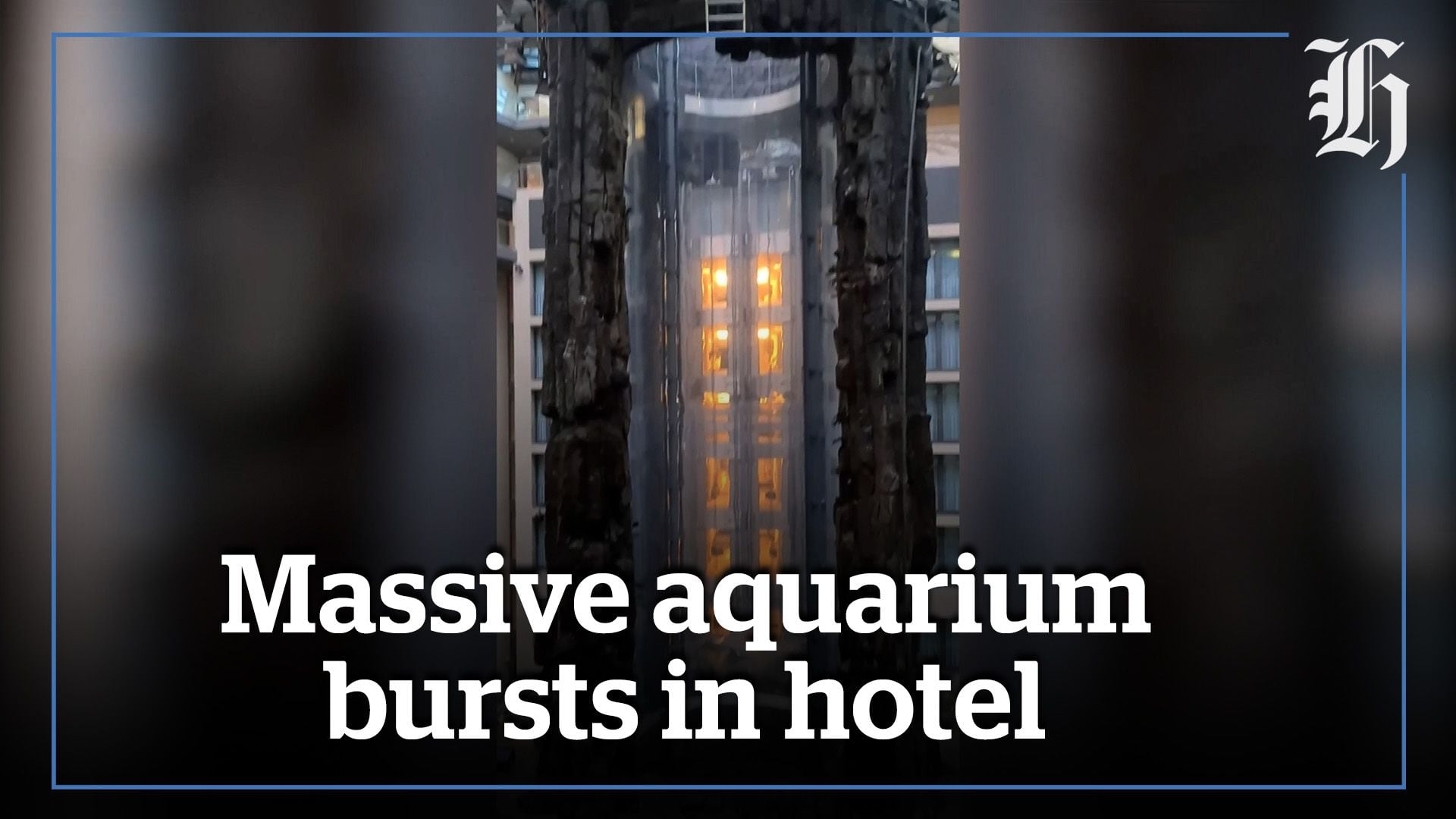 Huge Berlin aquarium with 1500 tropical fish bursts NZ Herald