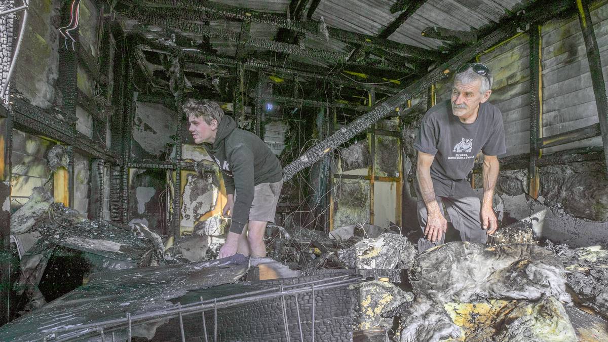 Des chats et des chatons meurent dans le feu de joie endormi à Hastings