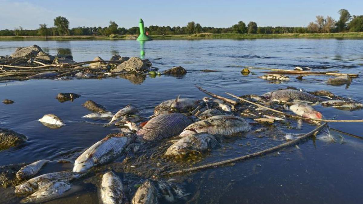 Polska: „Ogromna” ilość odpadów chemicznych wyrzuconych do rzeki