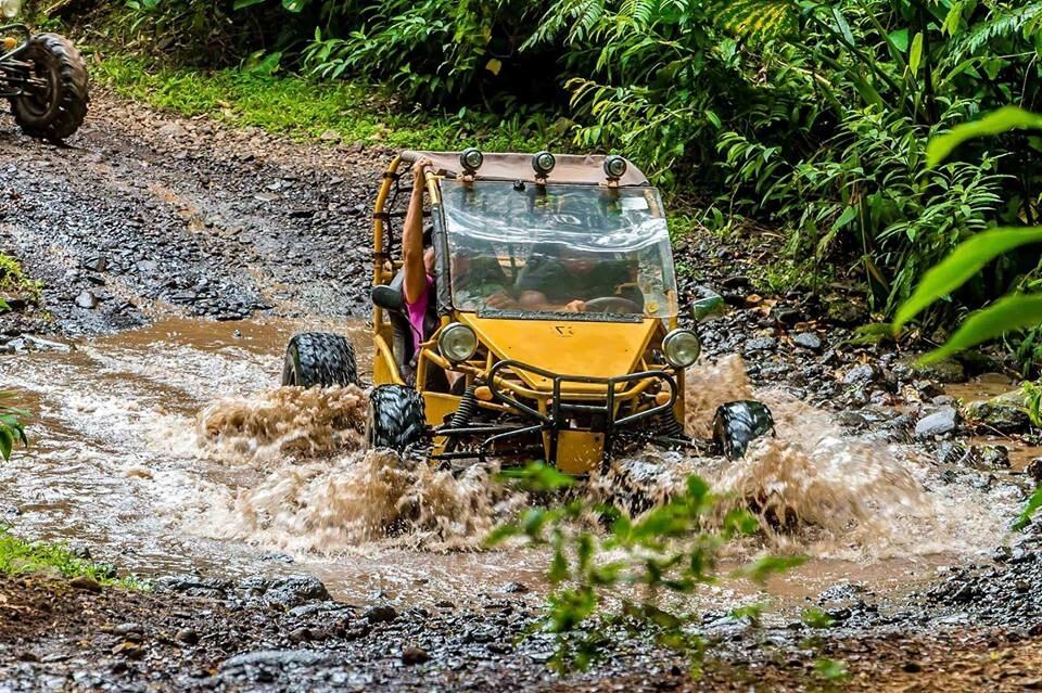 Buggies nz online