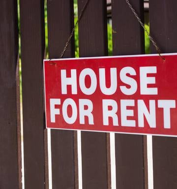 Tenant Not Liable For Dog Urine Damage To Rental Carpets Nz Herald