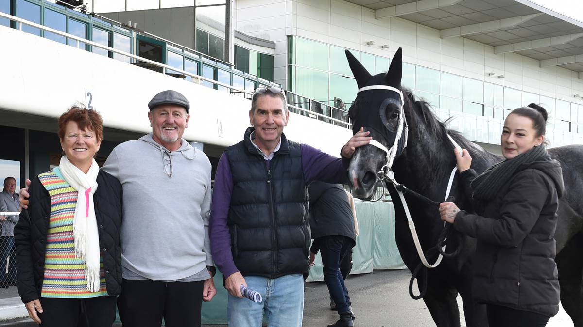 Racing: Papa Surf a deserved winner for passionate Hawke’s Bay owner-breeder