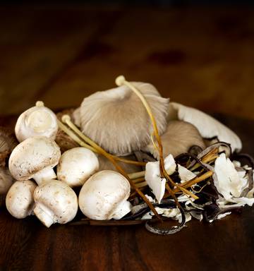 Funghi Feast For The Family Recipes Nz Herald
