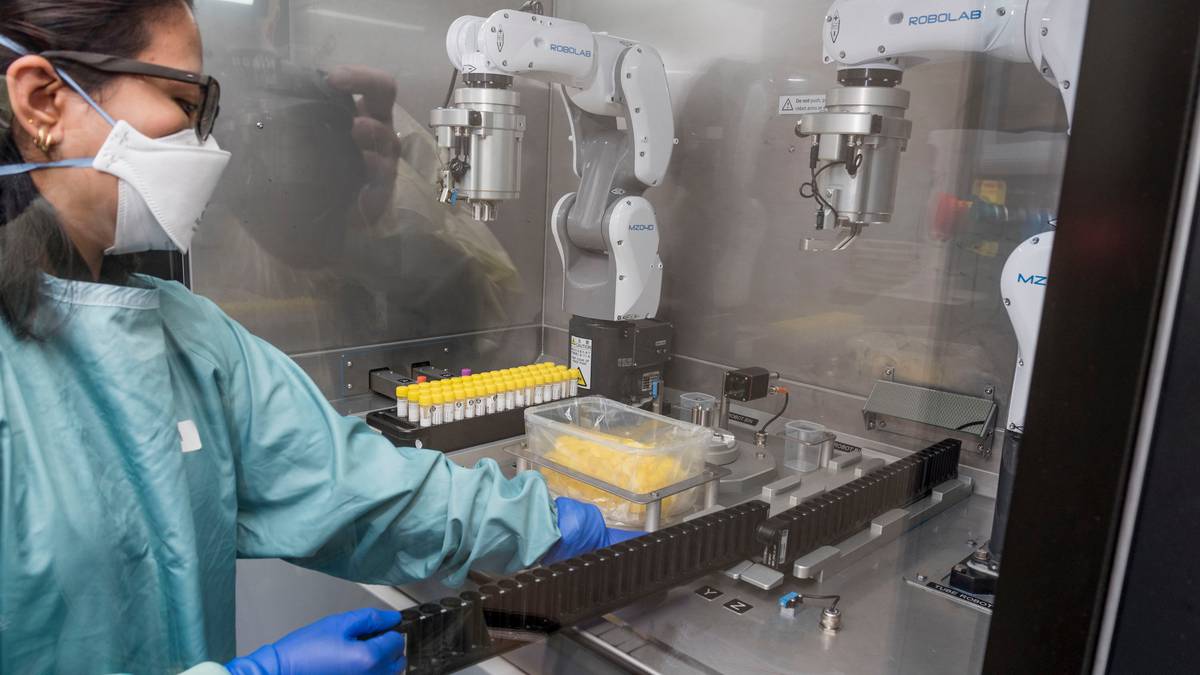 Photo of Covid 19 Omicron : la capacité de test PCR a augmenté de 20 000 par jour avec une épidémie imminente
