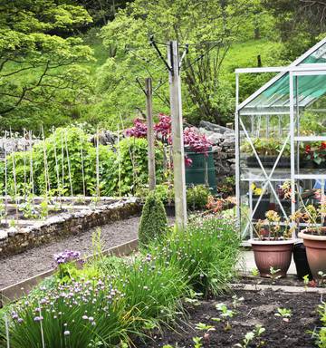 Start Your Own Organic Garden Nz Herald