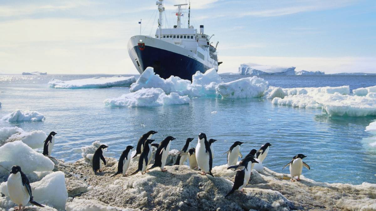 La guía definitiva para planificar un viaje a la Antártida: consejos de viaje de expertos para una aventura en el sur