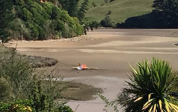 The wreckage of a light aircraft, a yellow Vans RV-4, lies embedded in the mudflats of the Kaitoke Estuary after crashing about 3.20pm on Monday.