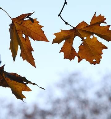 Mild First Day Of Winter For Bay Of Plenty Nz Herald