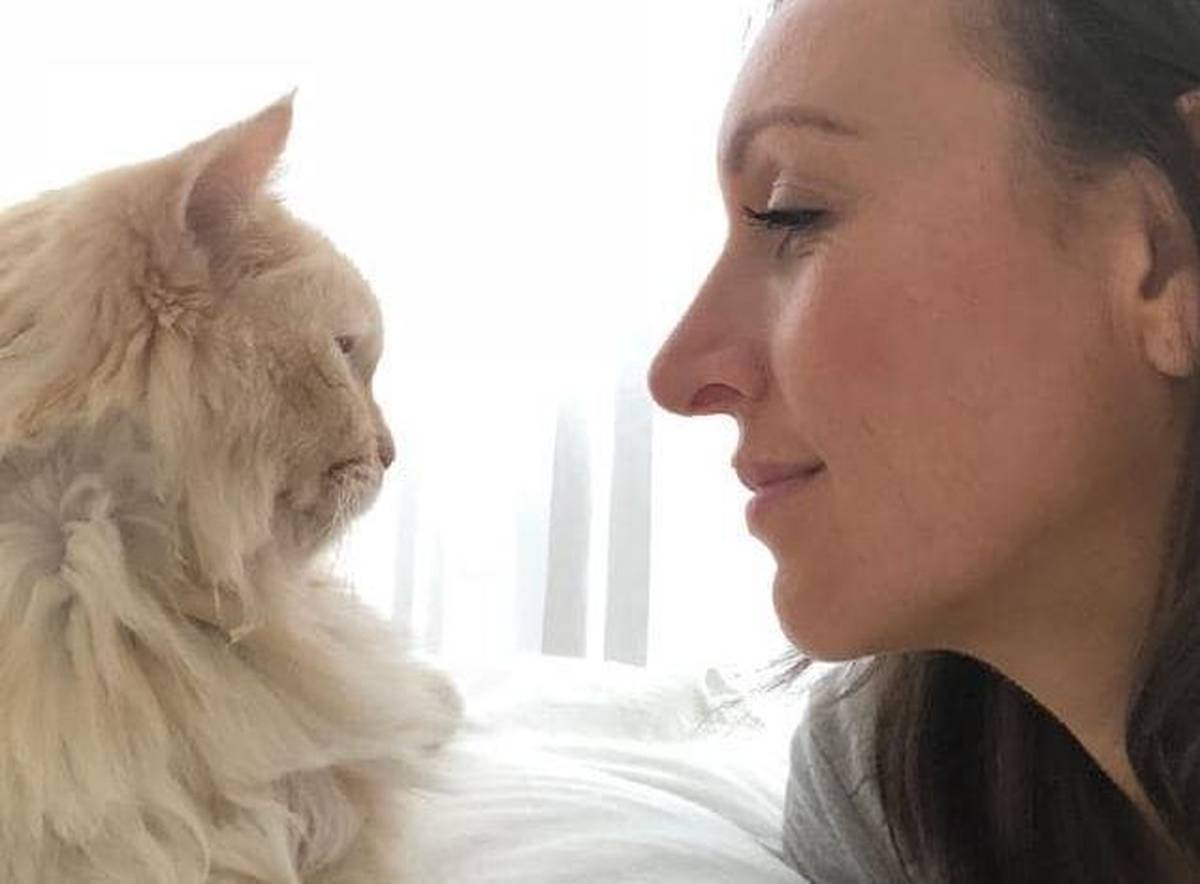 Pet Owners Forking Out Thousands On Vets Nz Herald