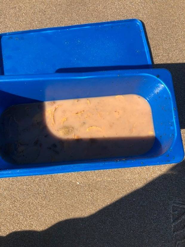 Around 1kg of kina was taken illegally from the reserve. Photo / Supplied