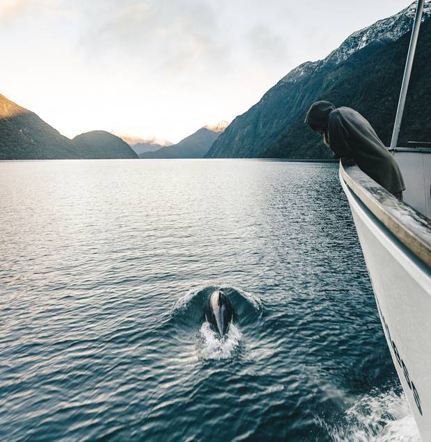Guests are immersed in Dusky Sound's natural environment on a Pure Salt charter. Photo / Supplied 