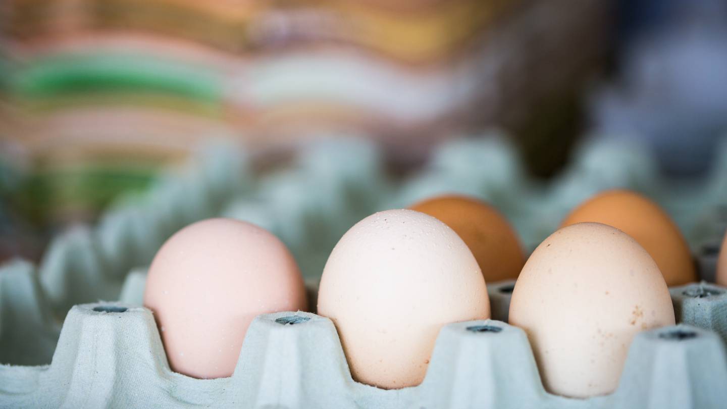 Auckland egg processing company Mainland Poultry Limited was sentenced in the Papakura District Court on Monday. Photo / 123rf
