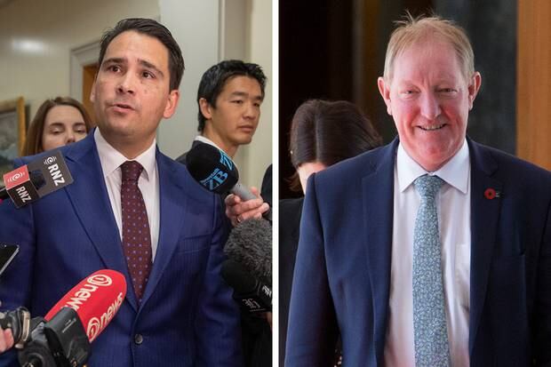 Simon Bridges and Nick Smith have been invited to either repeat their claims outside the House or apologise. Photos / Mark Mitchell 