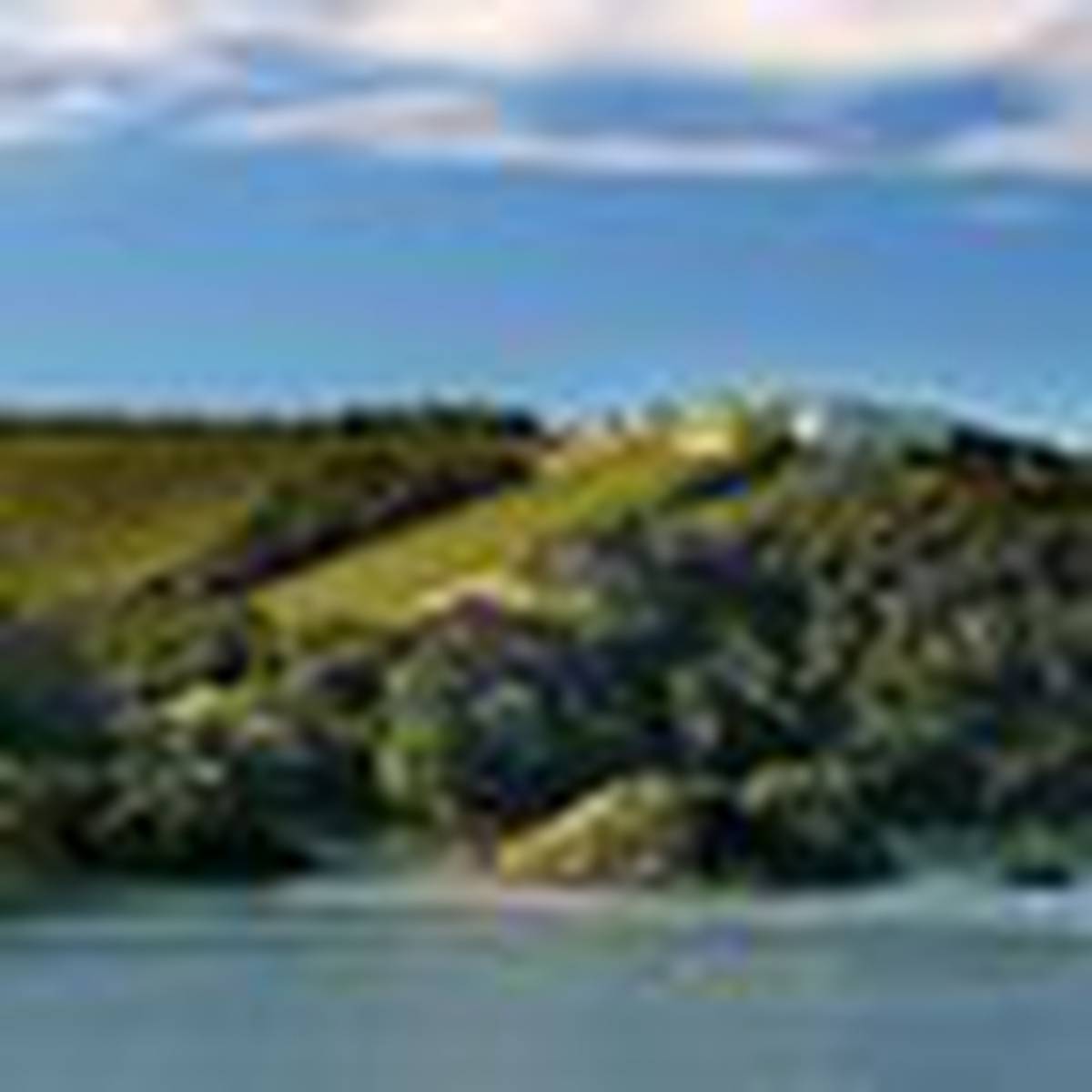 Acclaimed Waiheke Vineyard For Sale Nz Herald