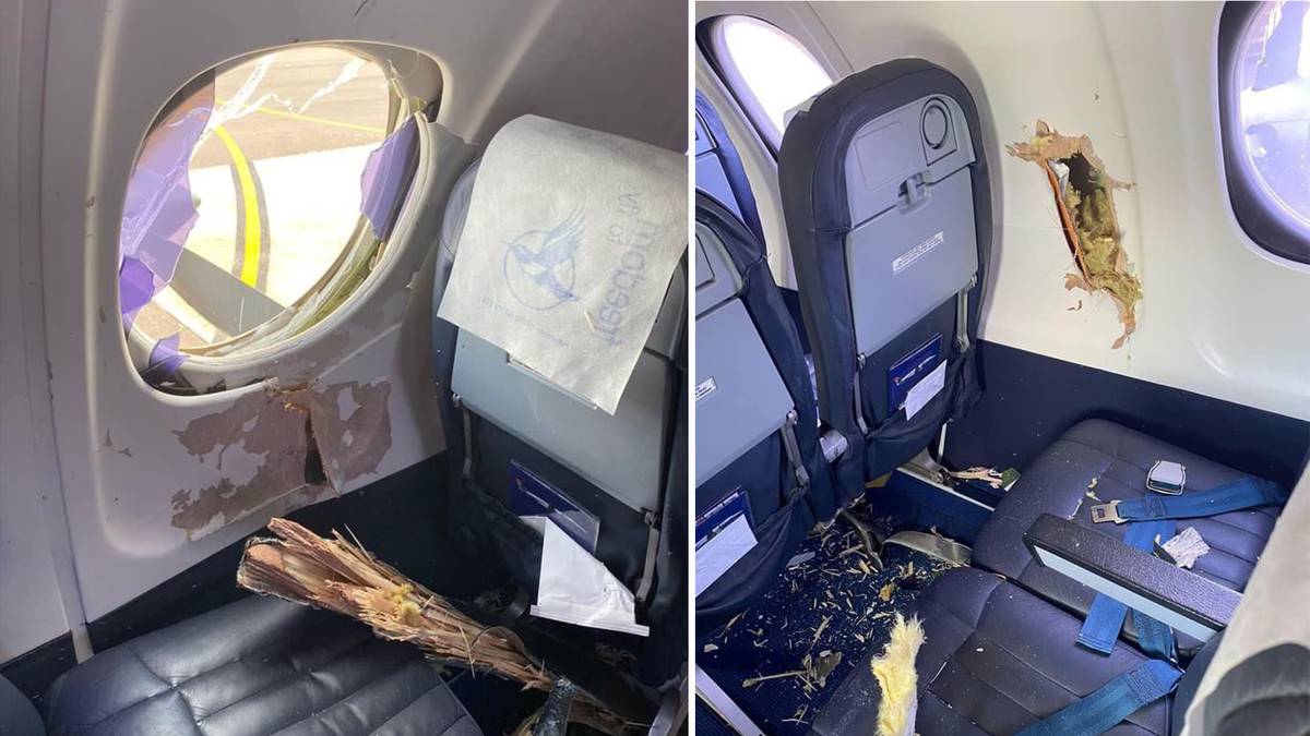 Baling-baling menabrak kabin pesawat dalam serangan burung Afrika Selatan