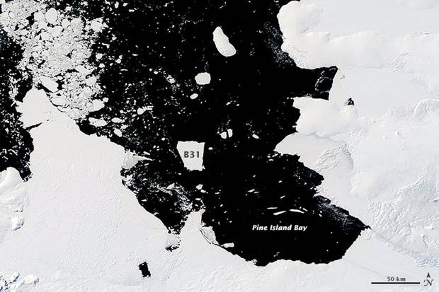 Some of West Antarctica's most dramatic change has been seen at Pine Island Bay - where a Singapore-sized iceberg (marked B31) was observed in 2016. Photo / Nasa
