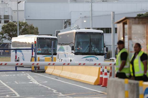 Buses leaves Auckland Airport with evacuees from Wuhan on Tuesday evening. Photo / Dean Purcell.
