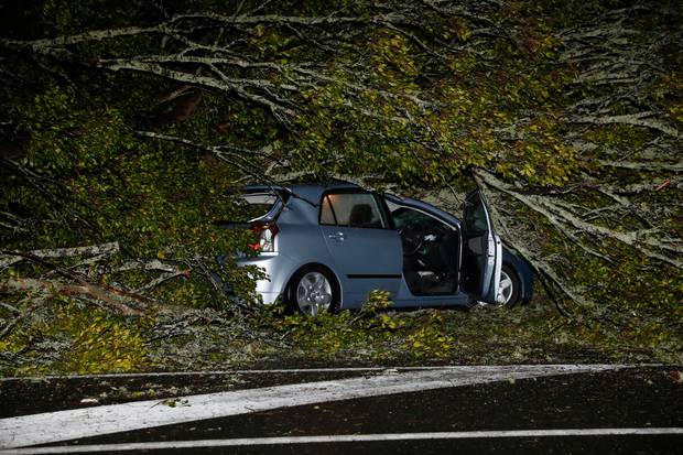 A woman was trapped in a car after it was hit by a falling tree in New North Rd, Kingsland, Auckland, during the storm. Photo / Dean Purcell.