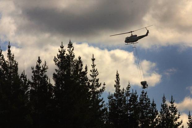 1080 remains New Zealand's most effective strategy to beat back large numbers of pest predators. Photo / File