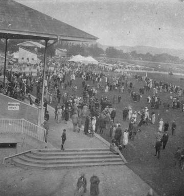 Michael Fowler How Bay Horse Racing Dream Got Across Line Nz Herald