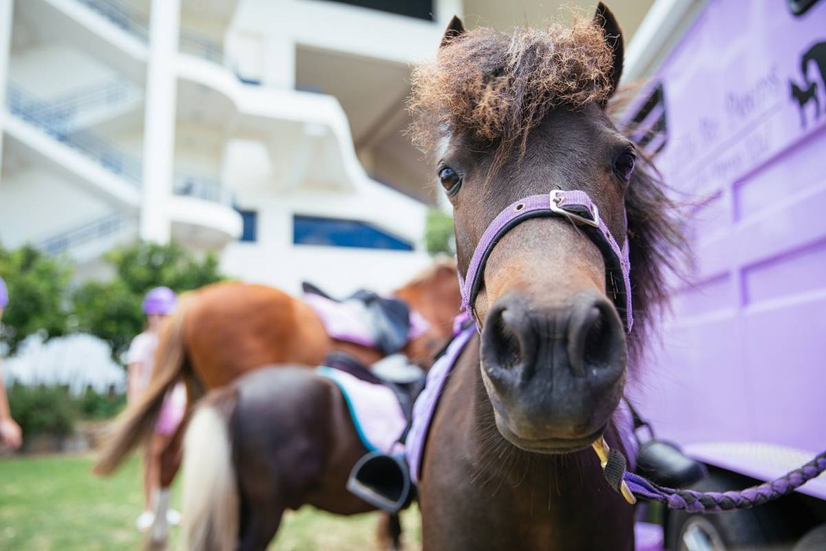 Horse Racing Four Ways To Keep The Family Entertained At New