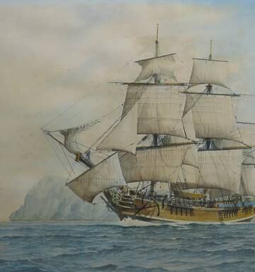 Whangarei And The Bounty Nz Herald