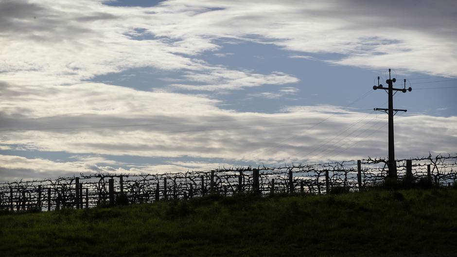 Wine Tasting In Adelaide Nz Herald