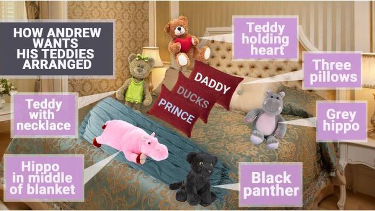 Kebenaran tentang orang dewasa dan boneka teddy mereka, bagaimana Pangeran Andrew memiliki ‘posisi yang benar’ untuknya