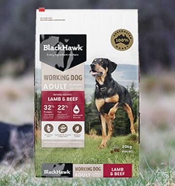 Win A Year S Supply Of Black Hawk Dog Food Nz Herald