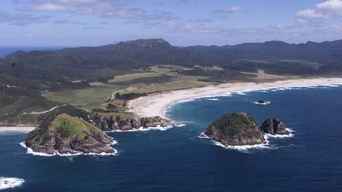 Great Barrier Among Arks To Save World S Most Threatened Species Nz Herald