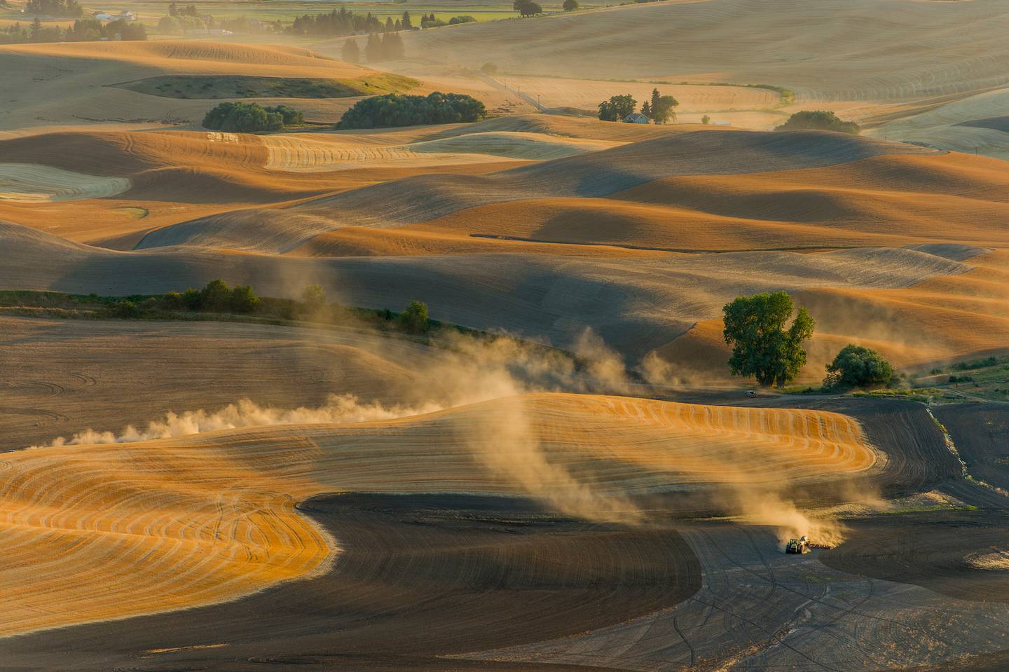 A farmer ploughs fields in Washington state, US. The practice works well to enhance yields in the short term but degrades soil in the long term. Photo / Getty Images