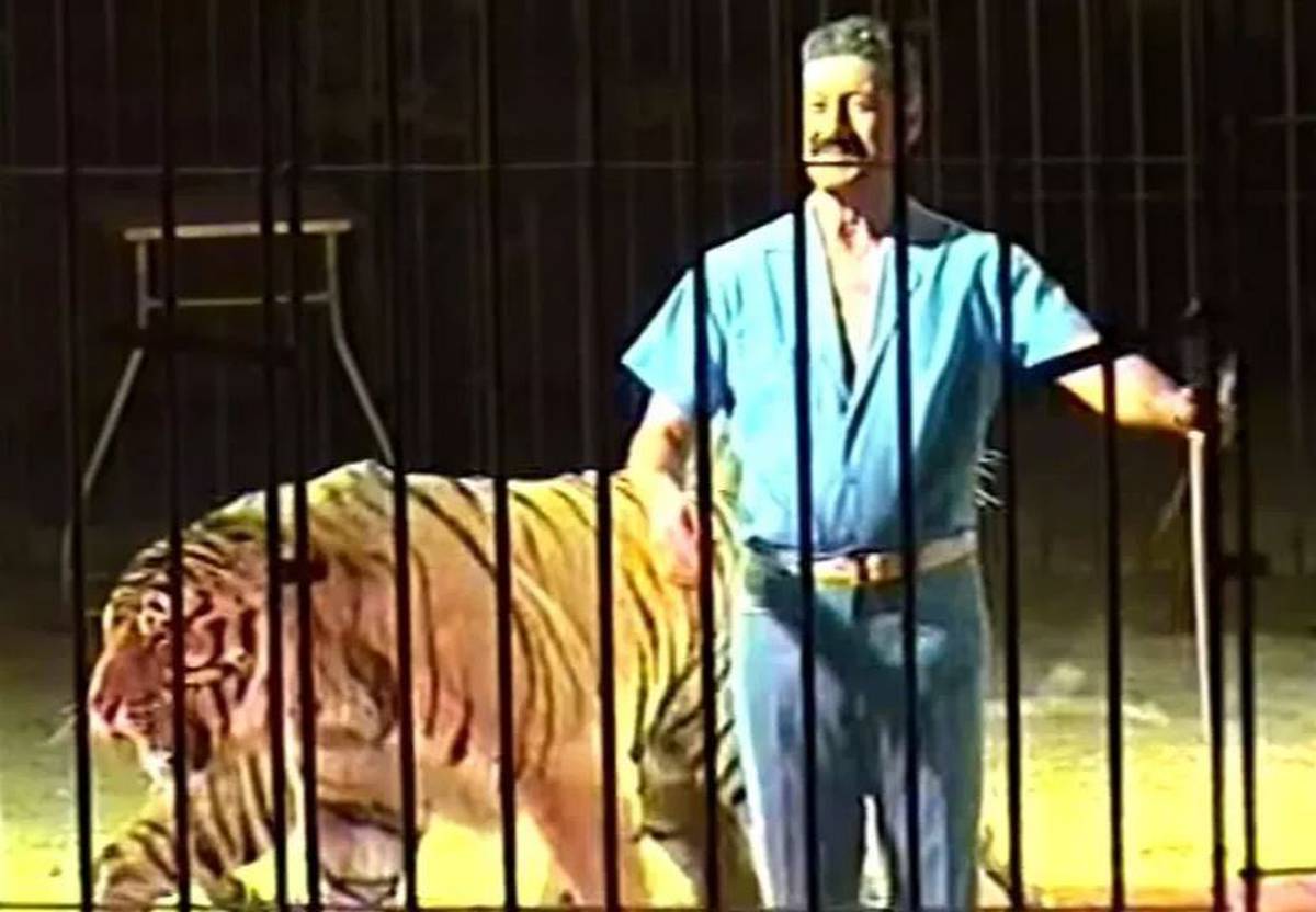 One Of The World S Top Circus Tamers Is Mauled To Death By His