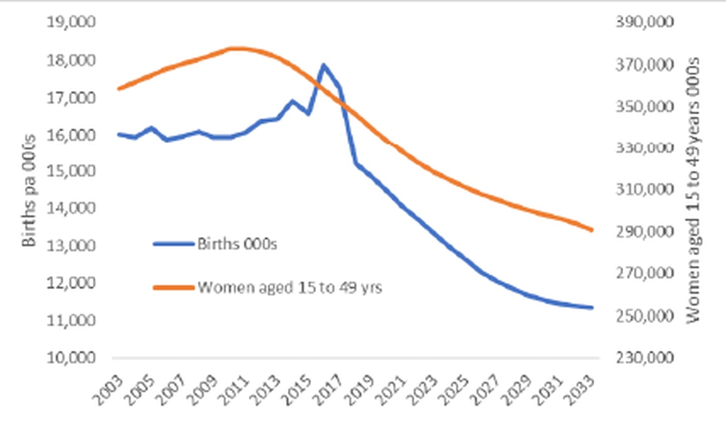 Chinese Birth Rate 2025 Tandy Annadiana