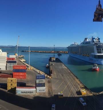 Brian Gaynor A Champagne Toast For Napier Port S Listing Nz Herald