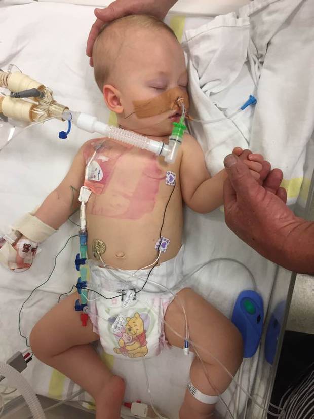 Medicinal Cannabis Oil Life Changing For Te Awamutu Boy Nz Herald
