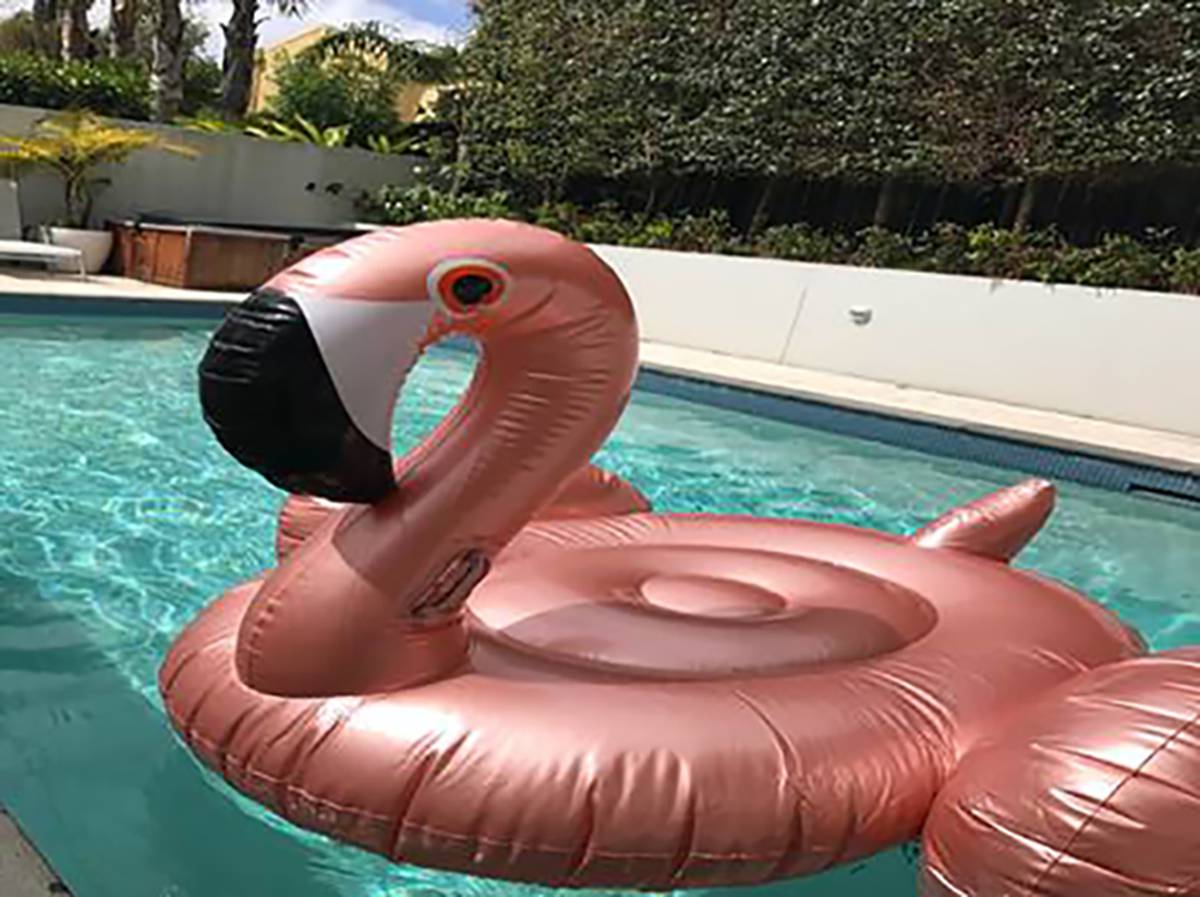Deborah Hill Cone How Pharmac Stole My Holiday Nz Herald