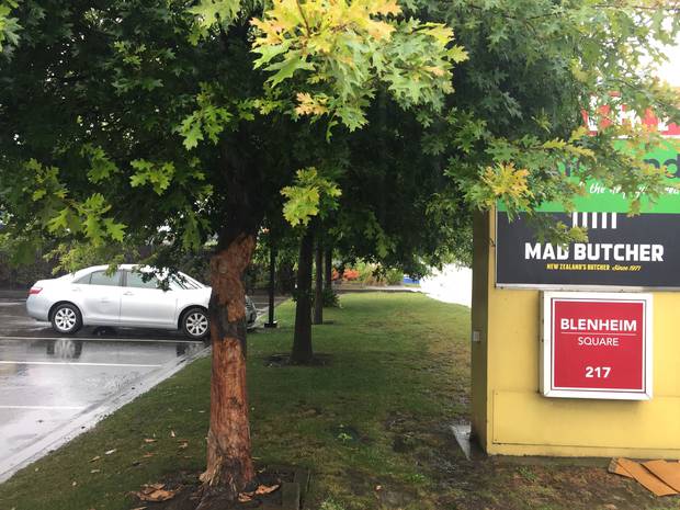 The three were killed when their car struck this tree.
